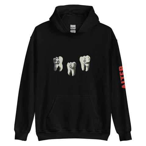 ALTER  6 Year Anniversary Hoodie